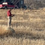 colorado springs architect